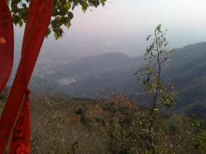IMG_0134